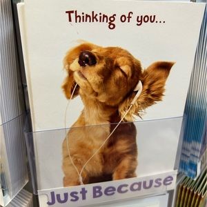 Meet your Posher, Jorge